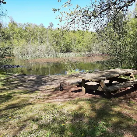 8 Person In Albaek-by Traum Ferienhaus
