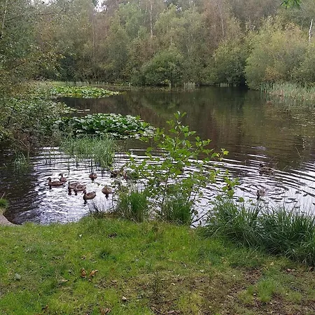 8 Person In Albaek-by Traum Ålbæk