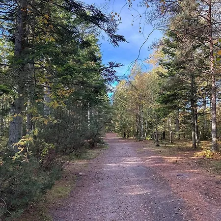 Feriehus 8 Person In Albaek-by Traum *